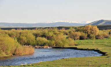 Diamond Tail Laramie River